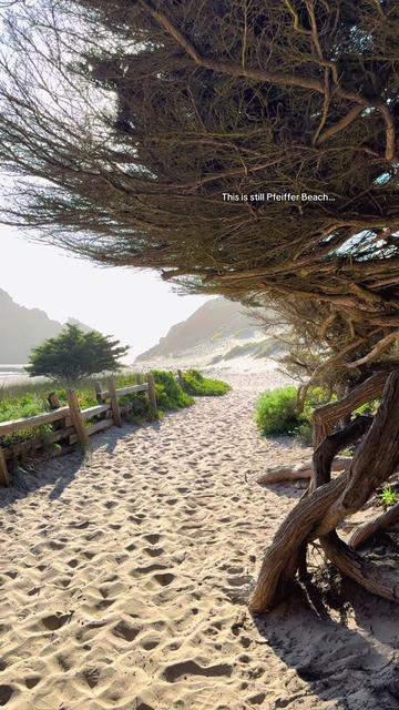 @Hidden Gems CA