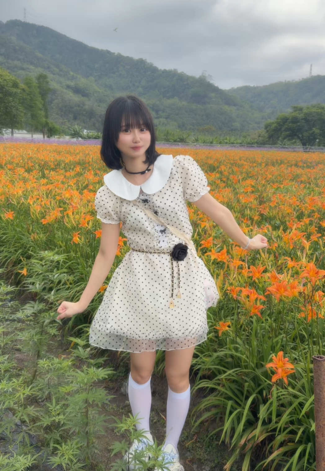 @瑚苓/これれ