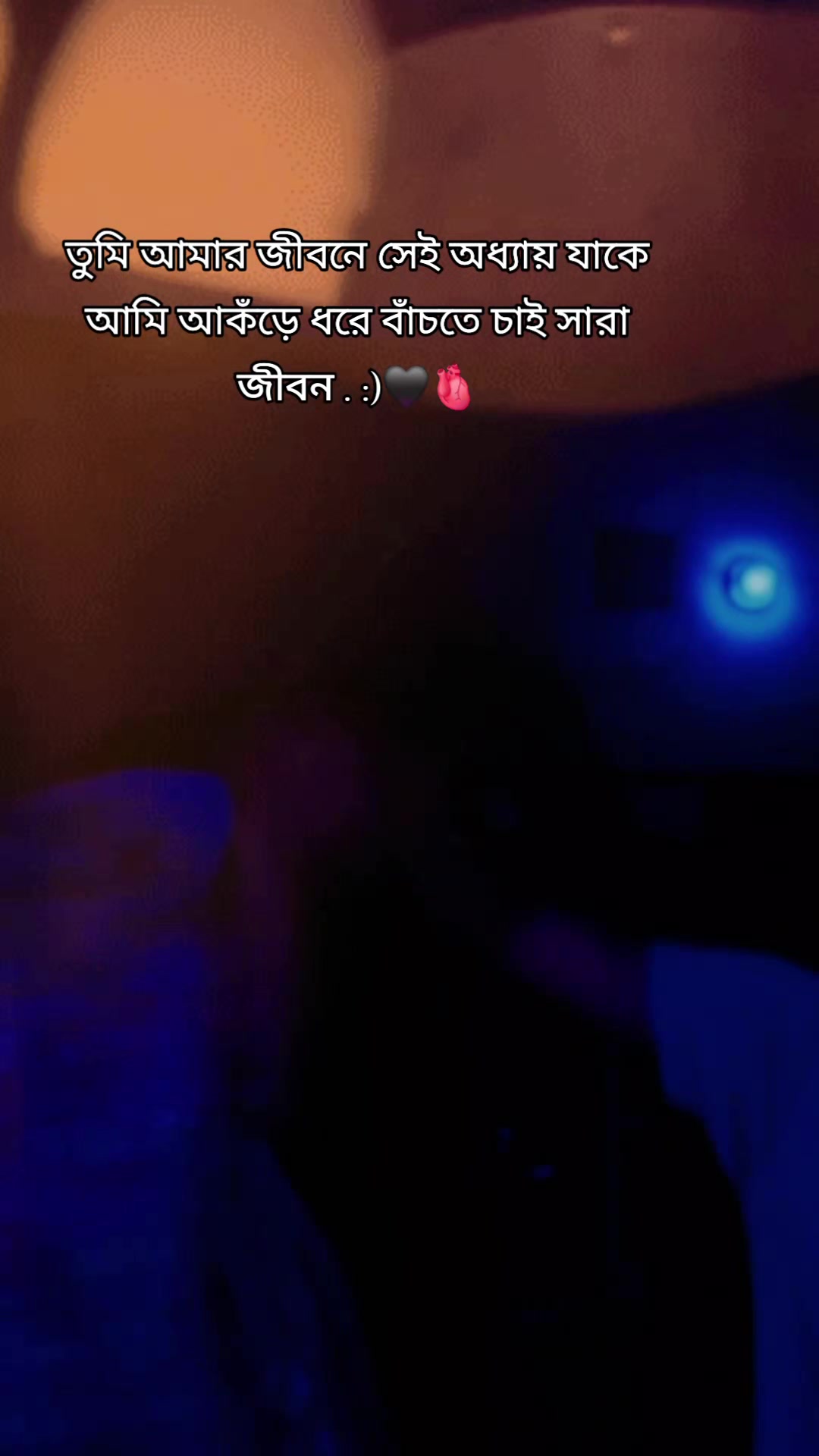 @🤲😺ঈমানদারী বিলাই 😺🤲