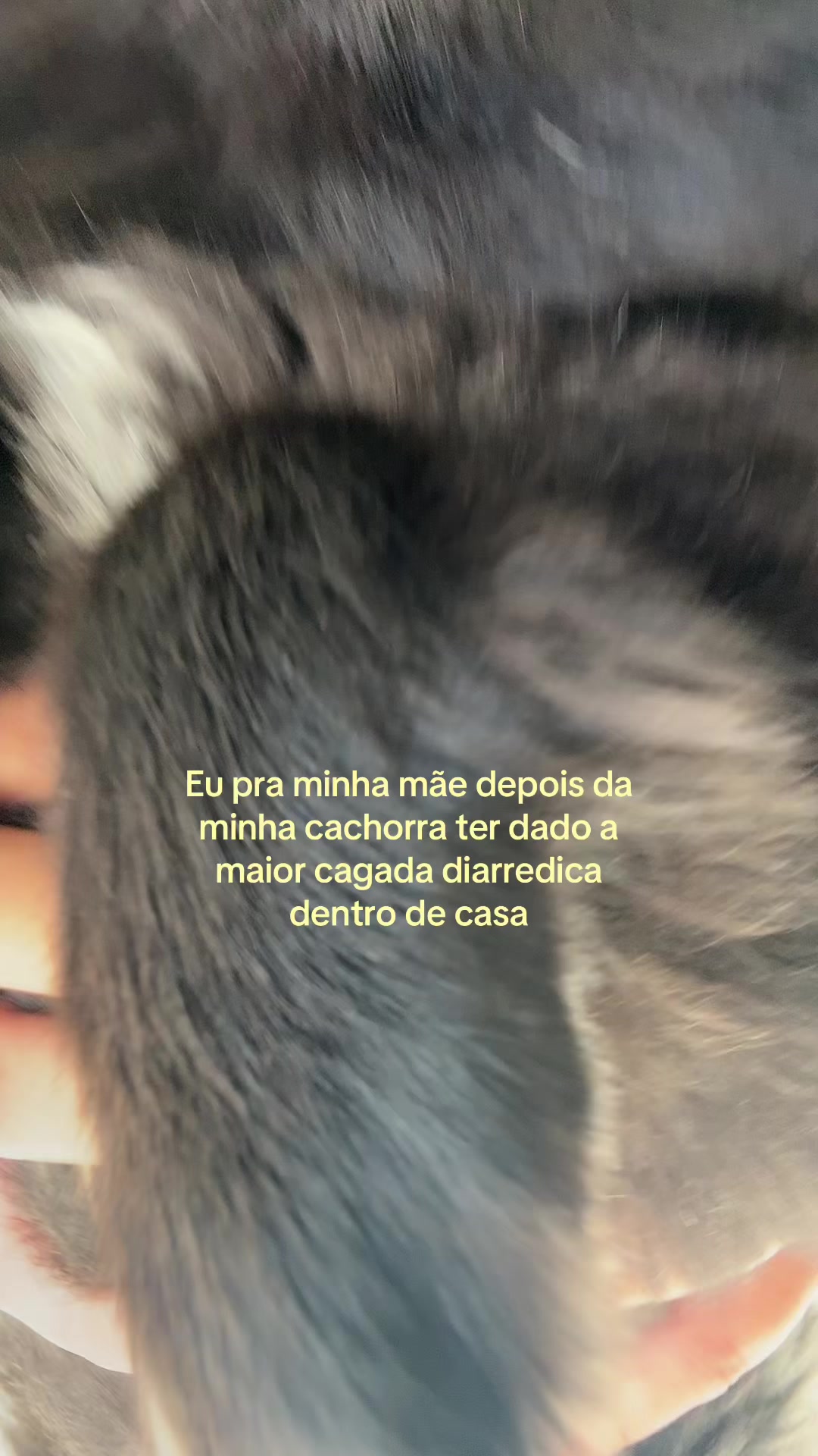 @Mariana Curiel