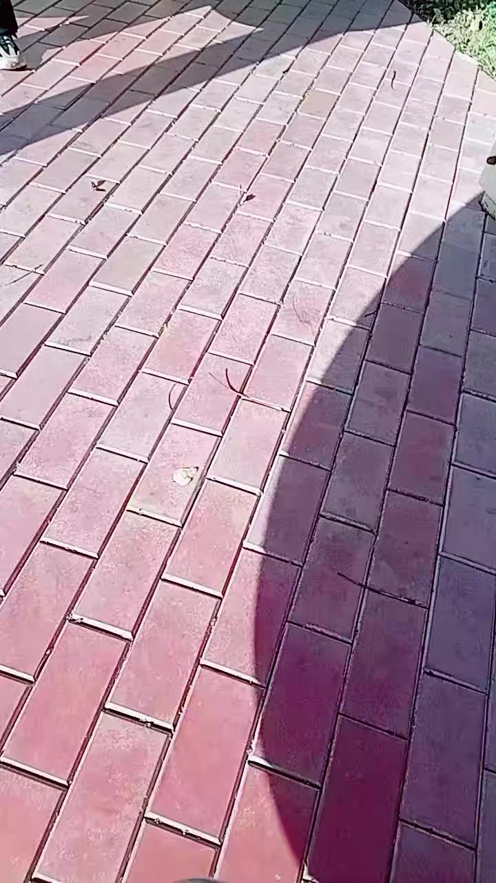 @🥭 🥹 сумасшедшая 😖 🍓