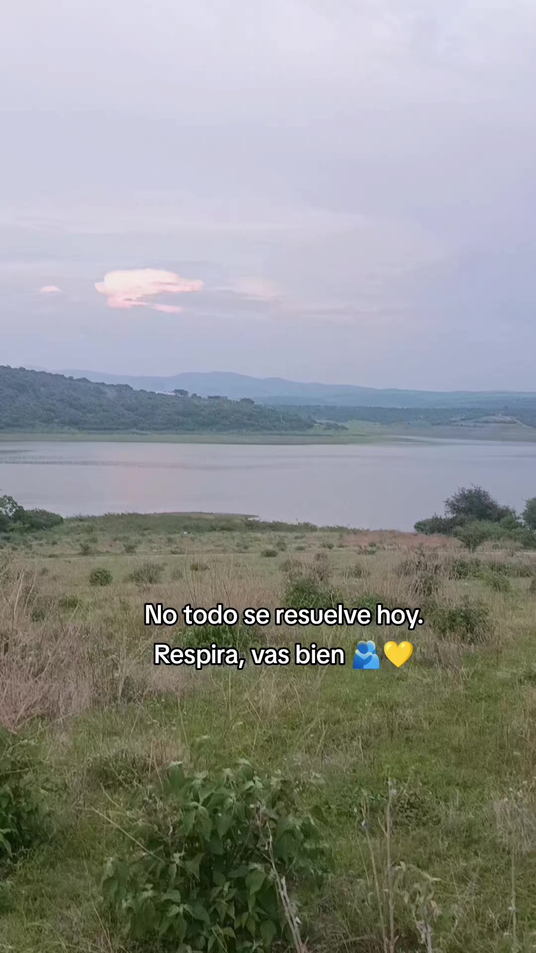 @Elena Patlan