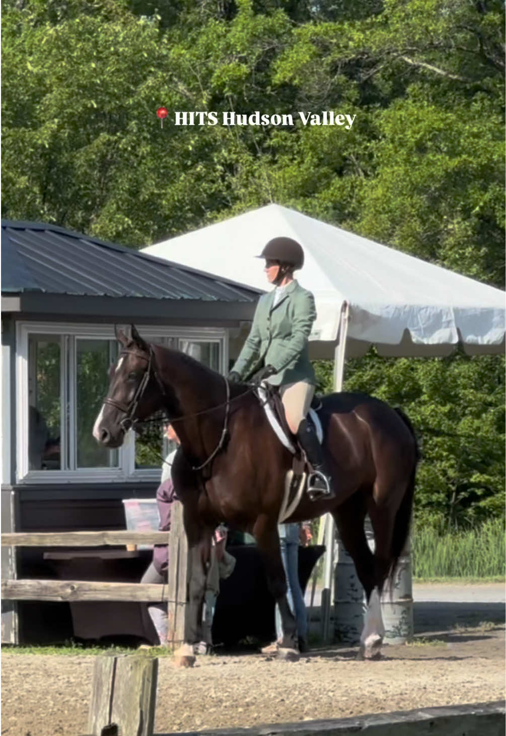 @Equestrian |🦄 Mom