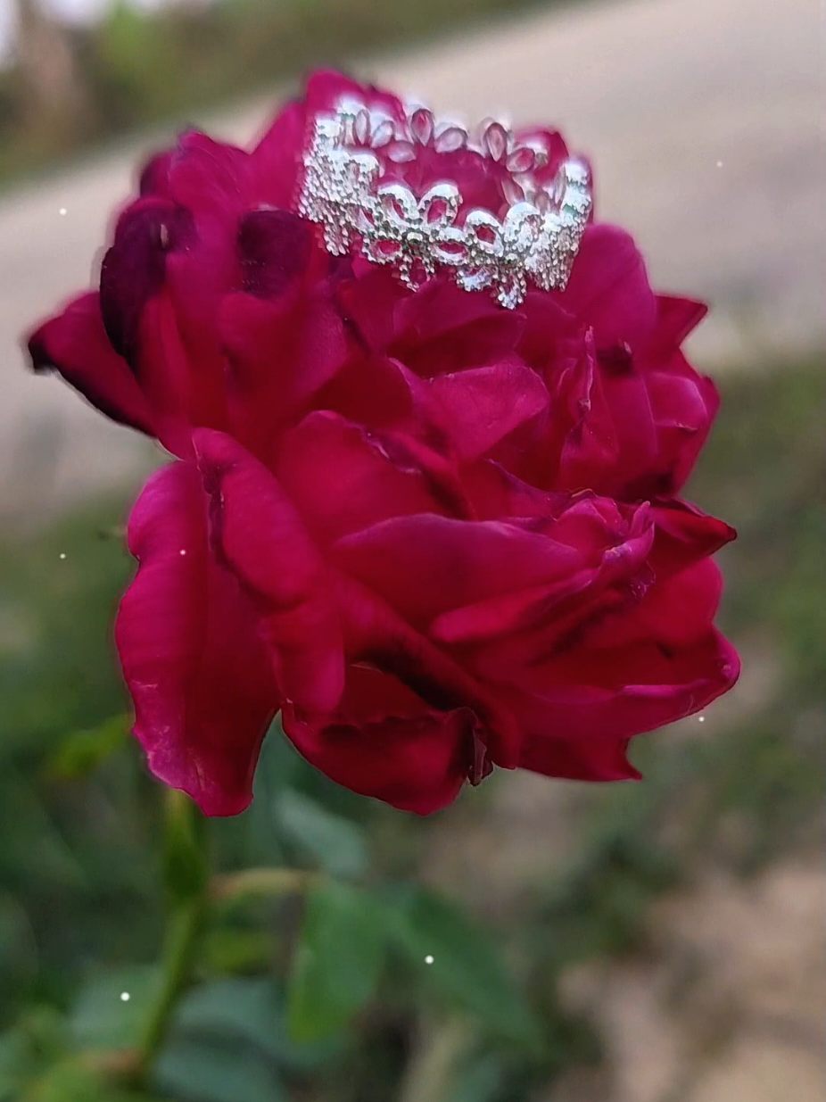 @💙AISHU 1808💙