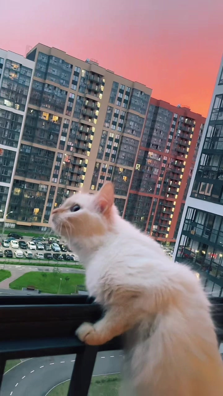 @Вл@дек🍎