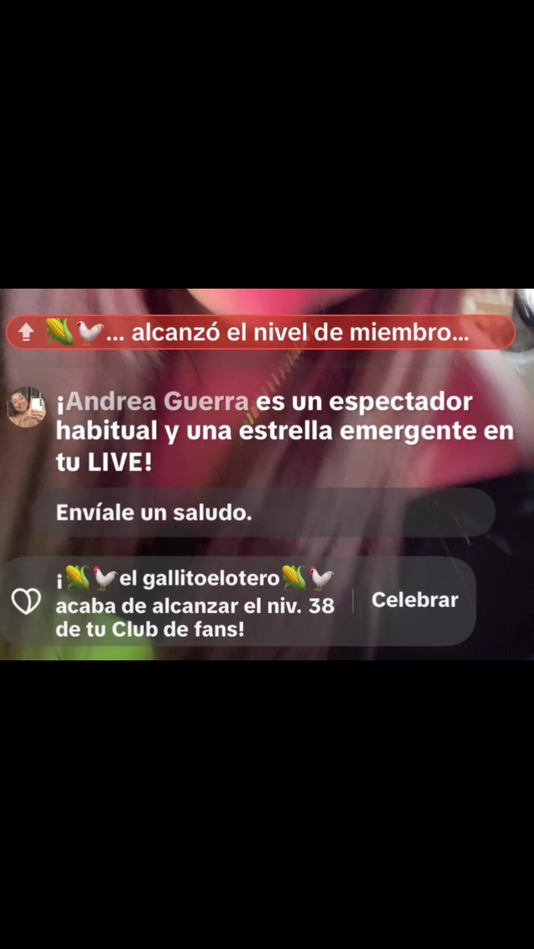 @🐥✂️El buen pollo✂️🐥