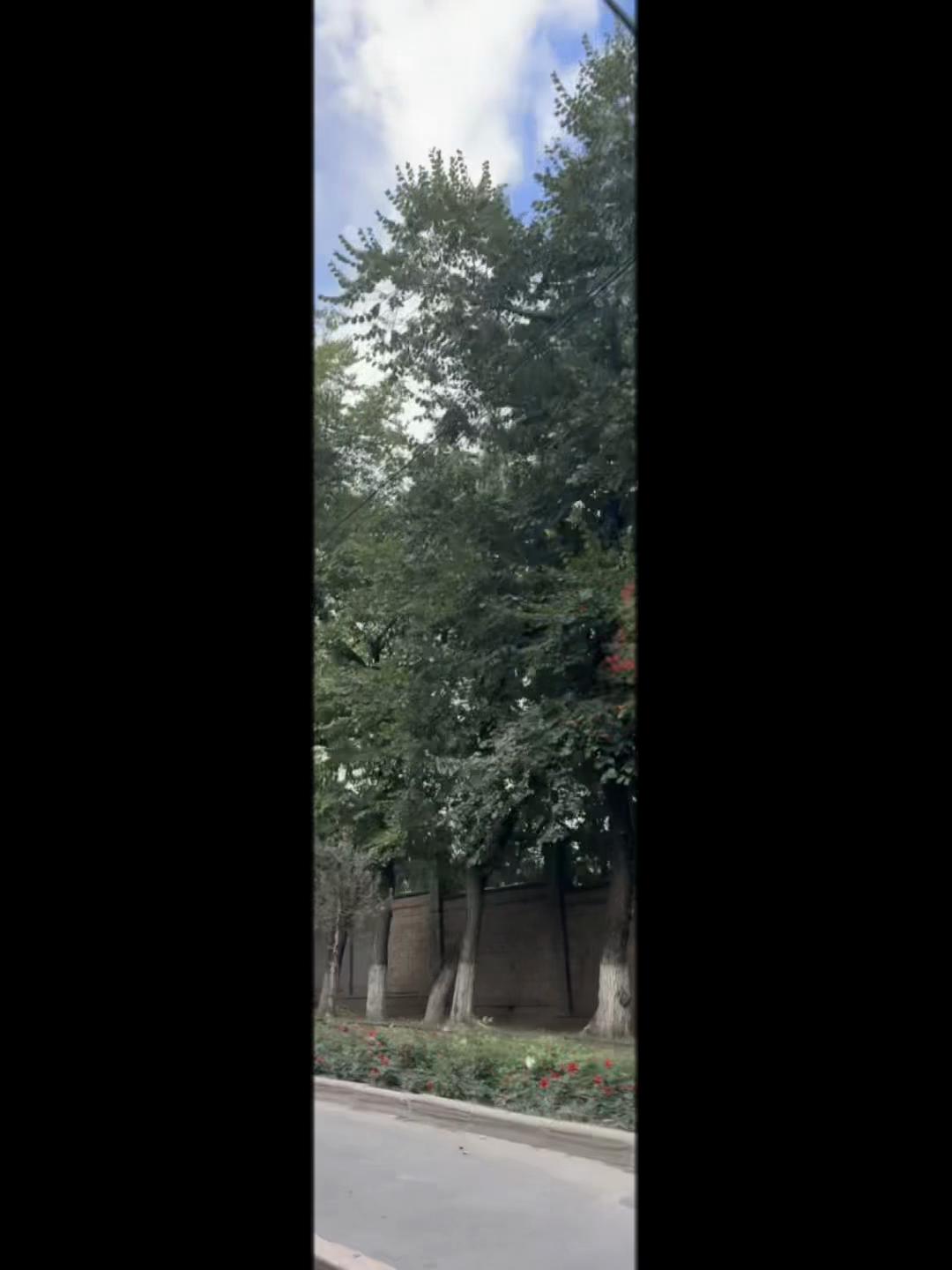 @Айнаш