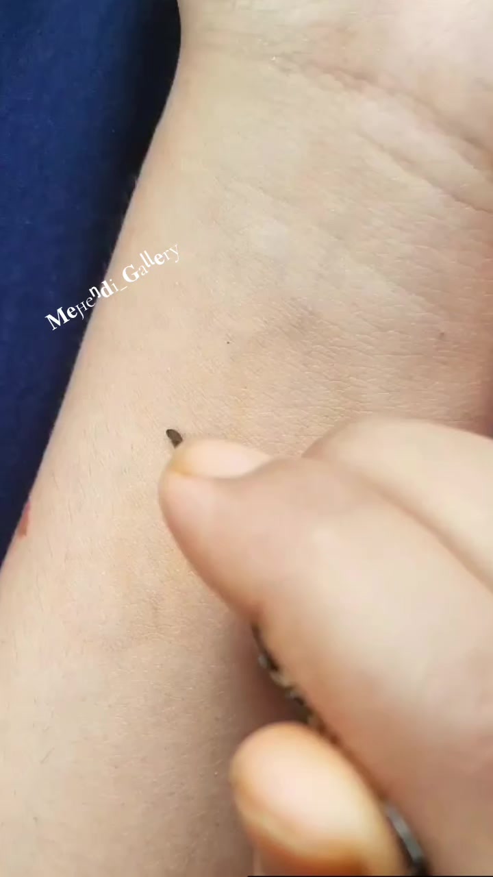 @𝆺ـ꯭ـ𝐌𝐞ԩeᵑ𝐝i_𝐆aᶩᶩ𝐞ryـ꯭ـ𝆺