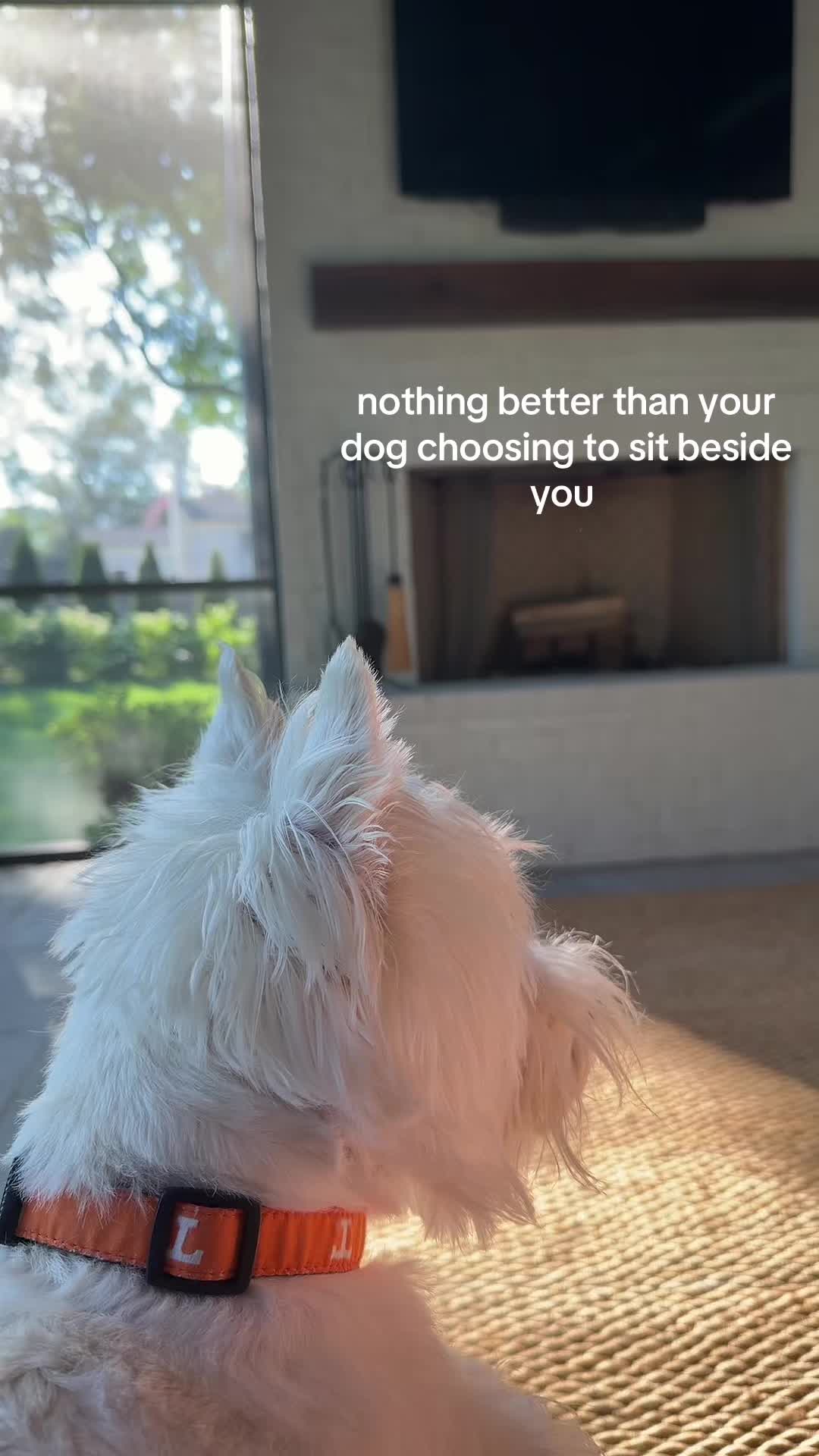@maggieastreeet