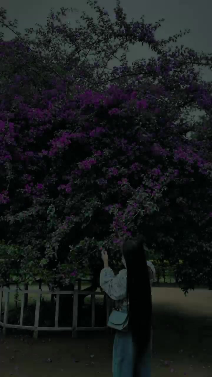 @Sudikshya Rai