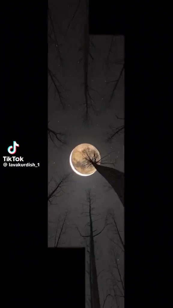 @الخليجيه 🧿
