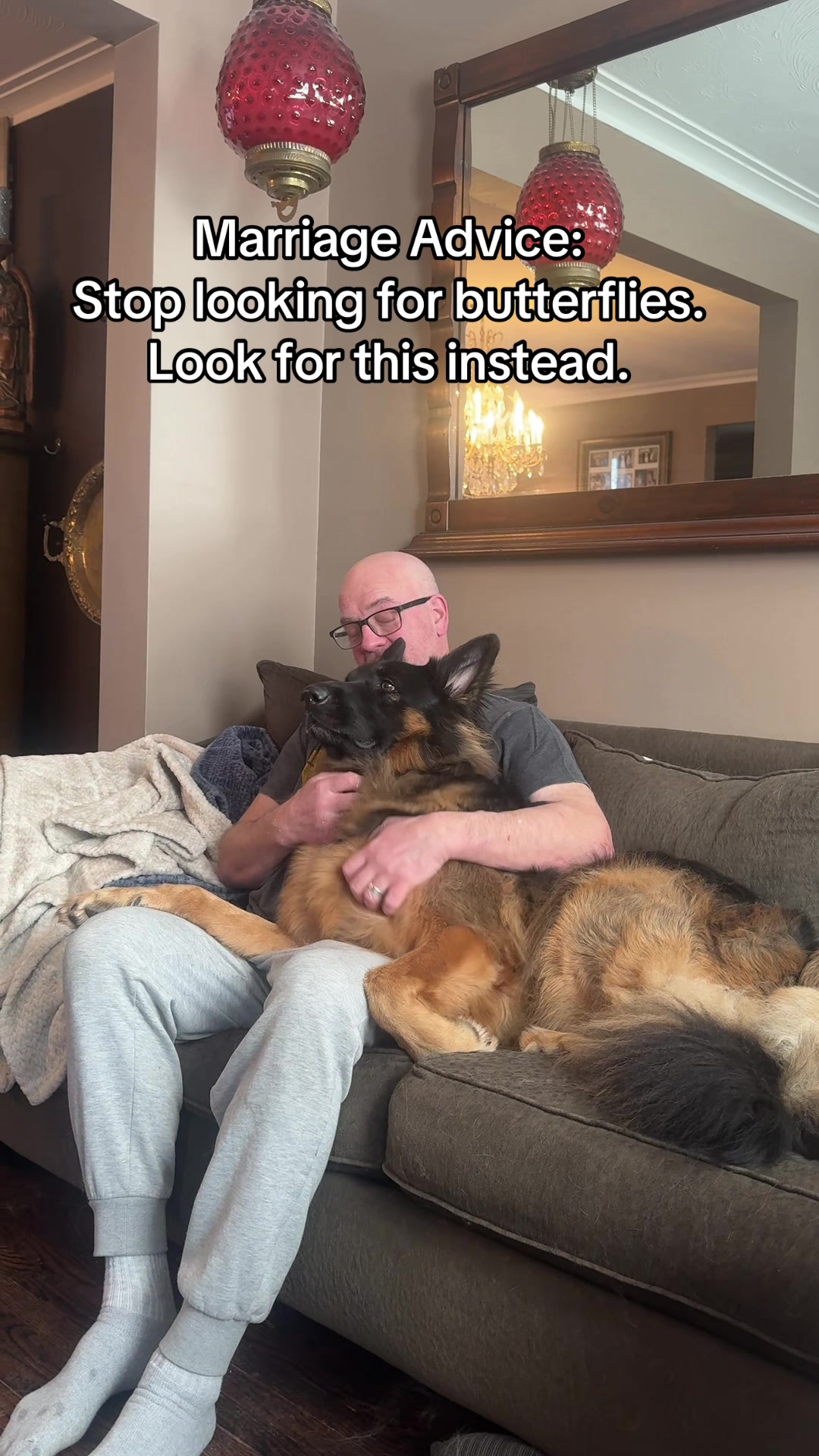 @ksdoggos