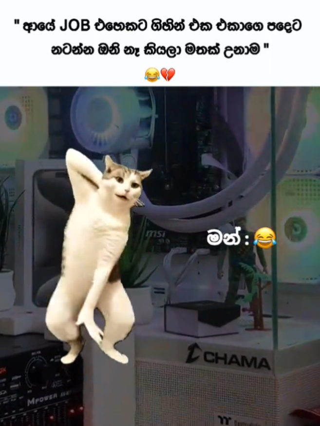 @๐๐ฟ๐๐ฝ๐๐ผ ๐๐น๐ฒ๐
แตโฑแต ๐ฃ๐