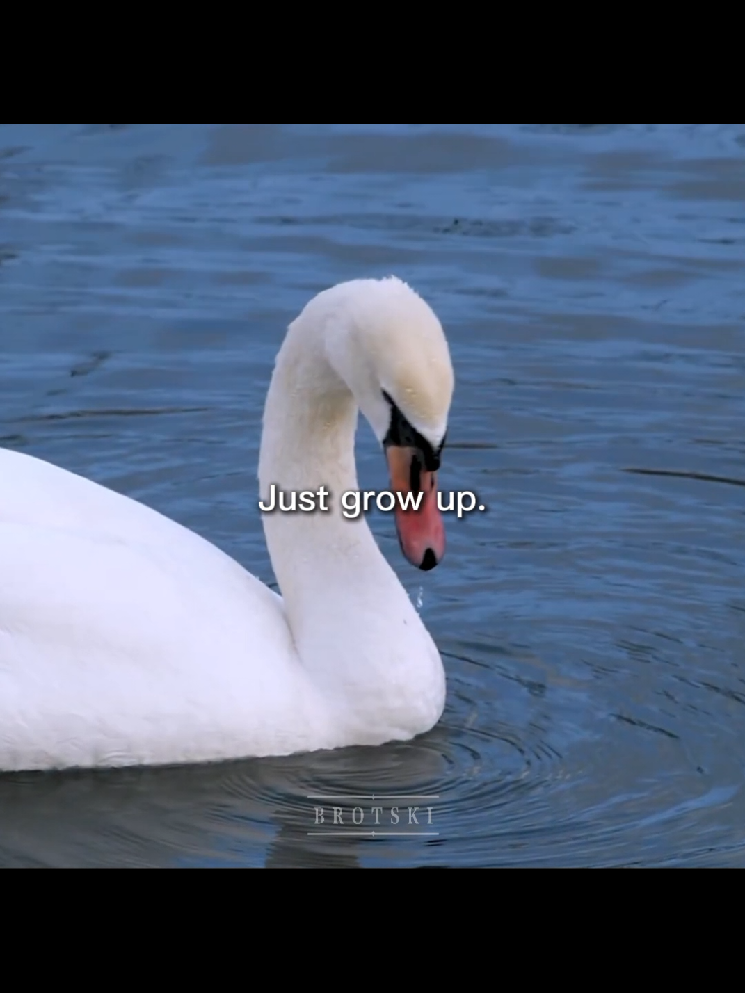 @𝐁𝐫𝐨𝐭𝐬𝐤𝐢🚹(floppy edits)