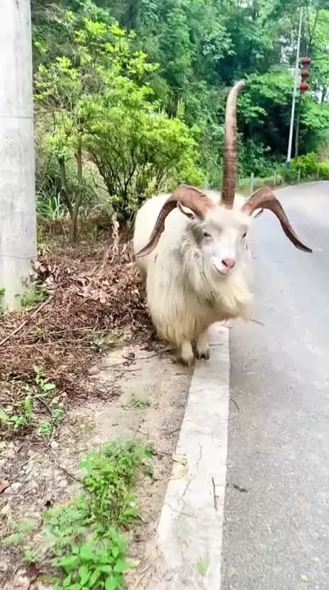 @Funny