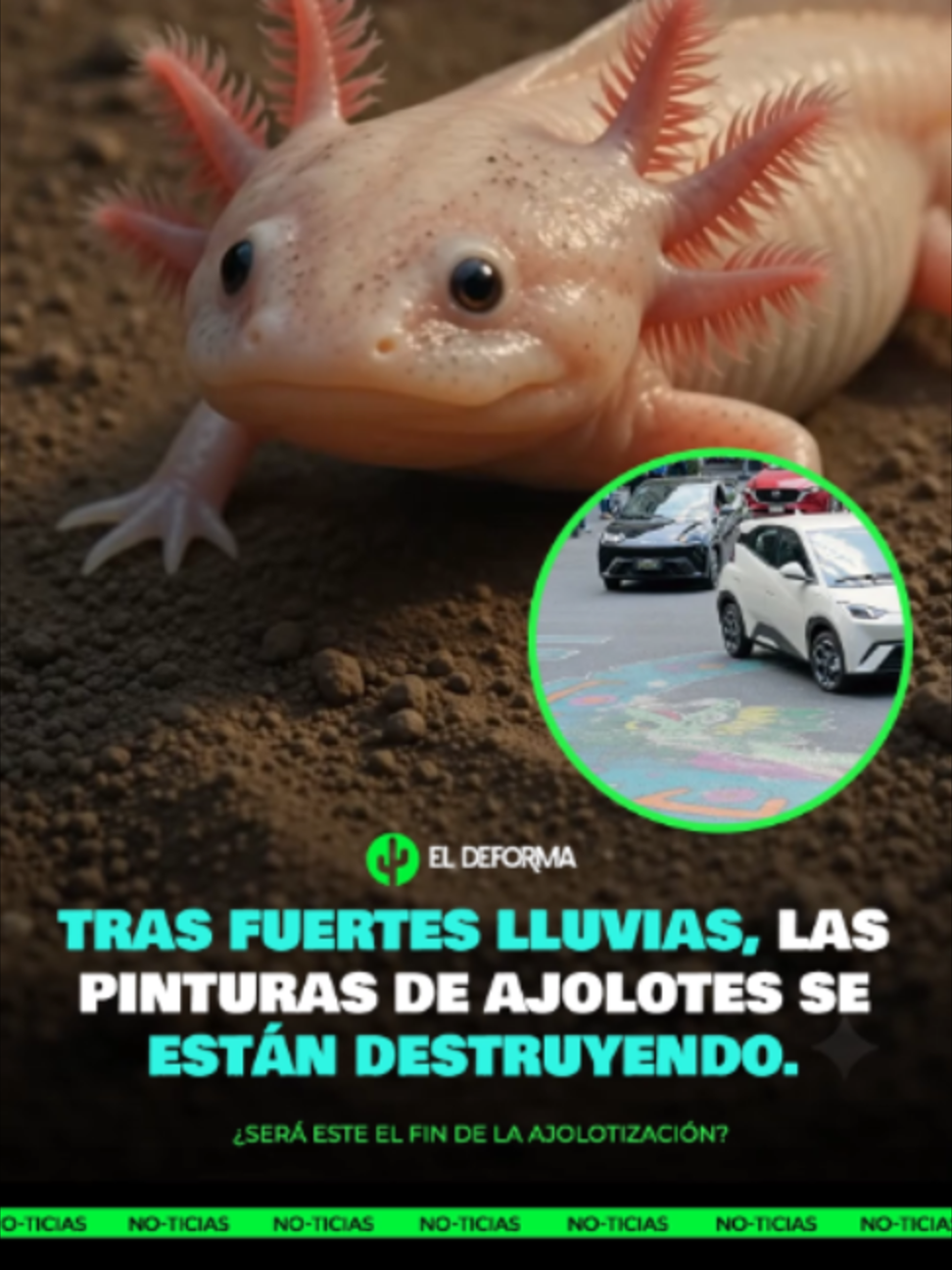 @ElDeforma