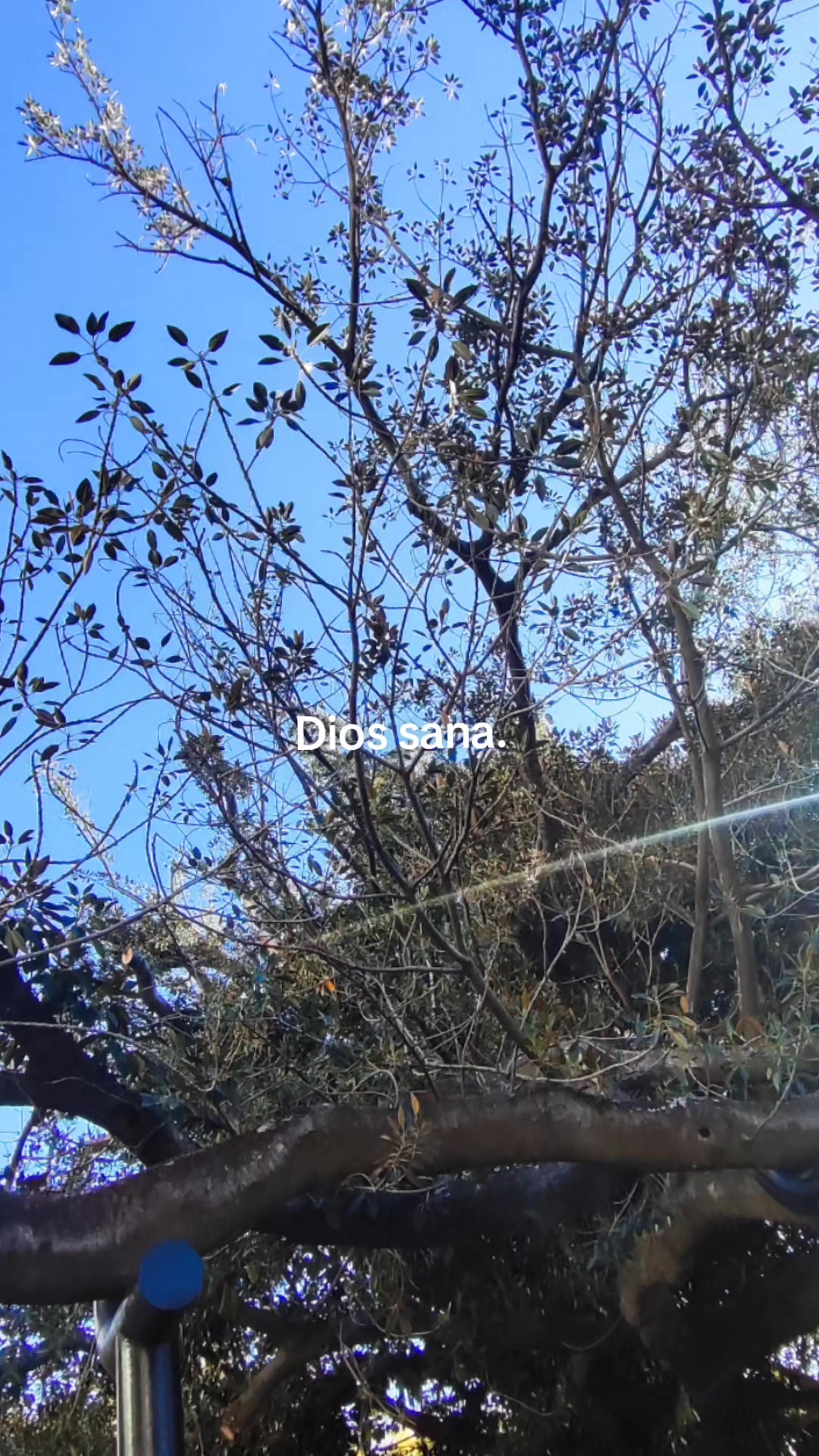 @videosimpactantes