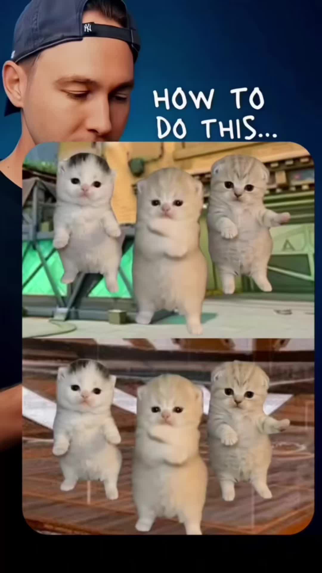 @lynete