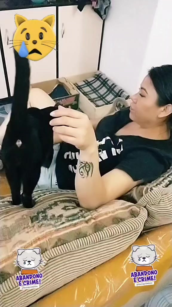 @petuchis