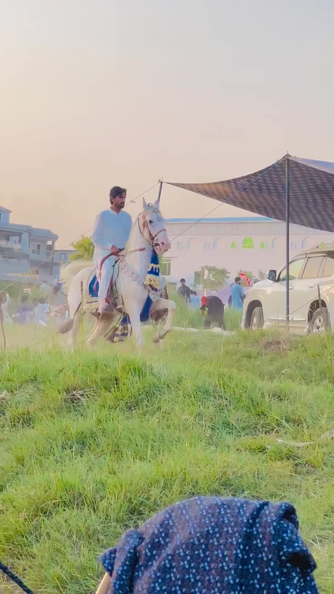 @Rai Waseem