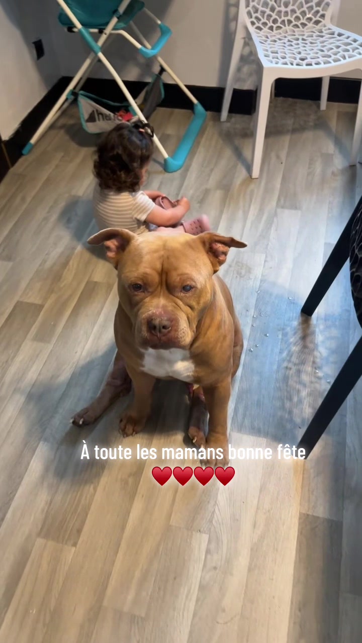 @🧩team bully🐶🧸
