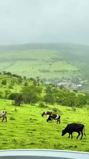 @sakeer