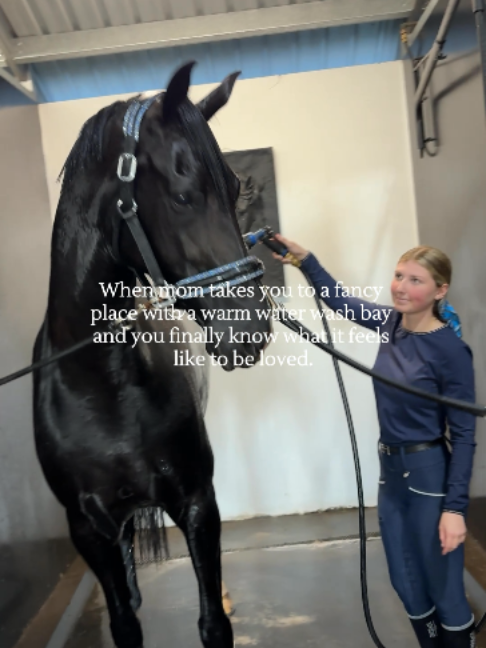 @LumiereEquestrian