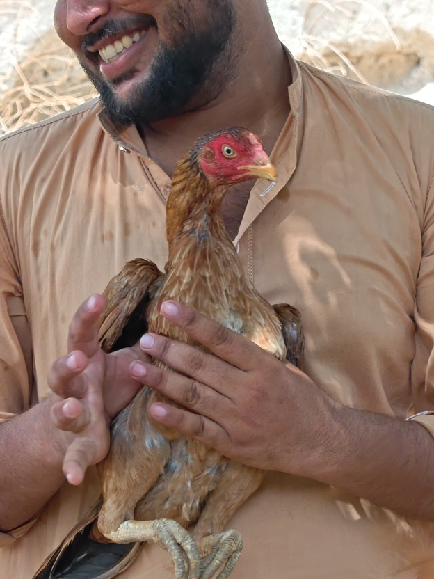 @اشفاق چوہدری 🌺