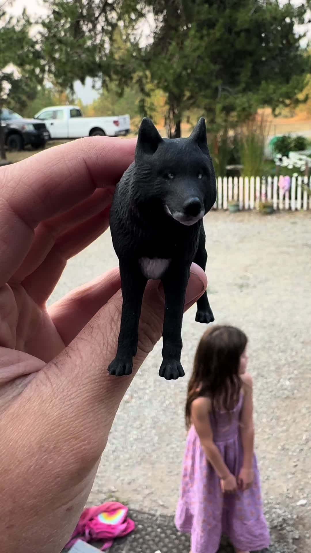 @NWWolfdogs