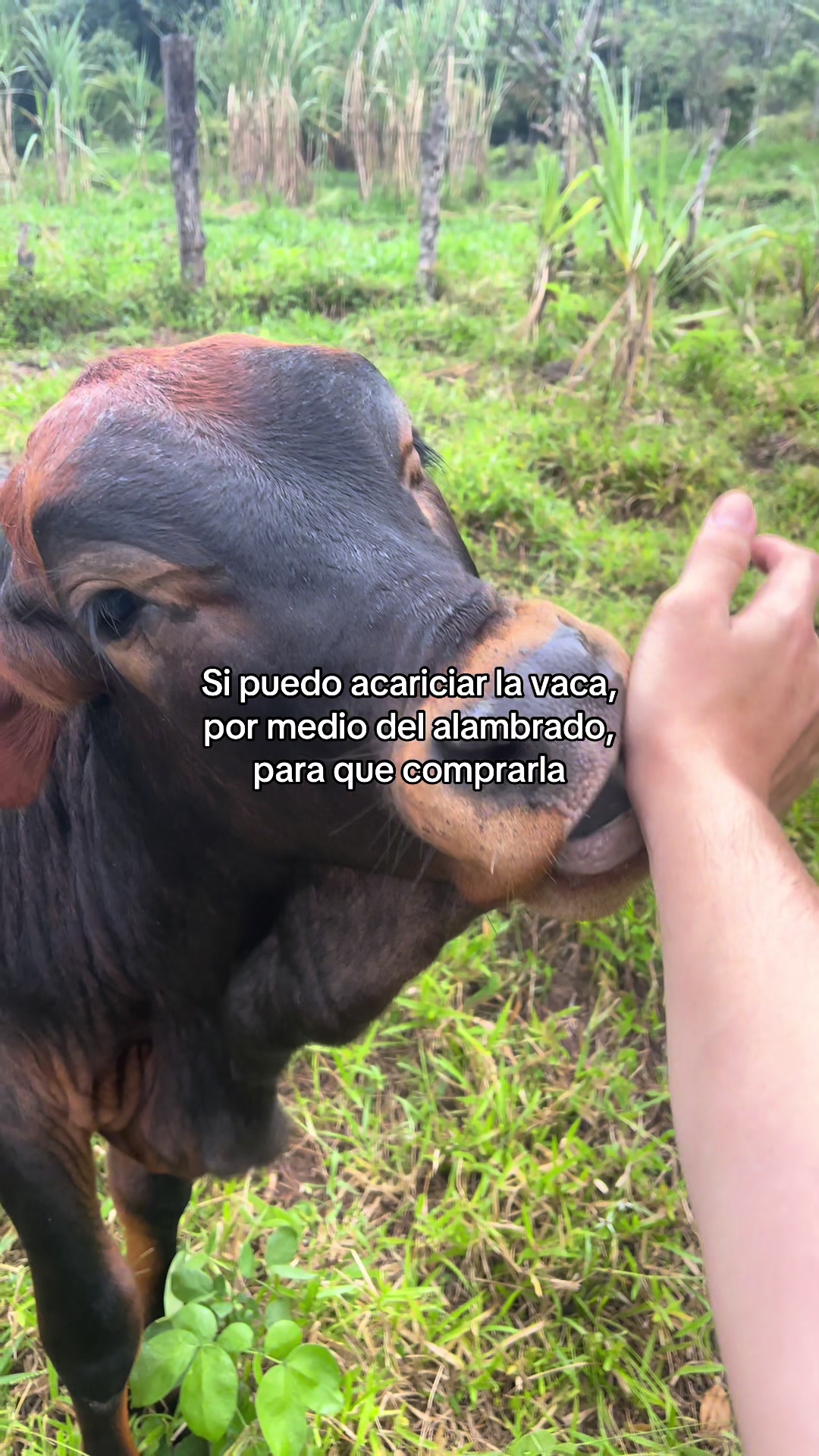 @Jhon^🧃