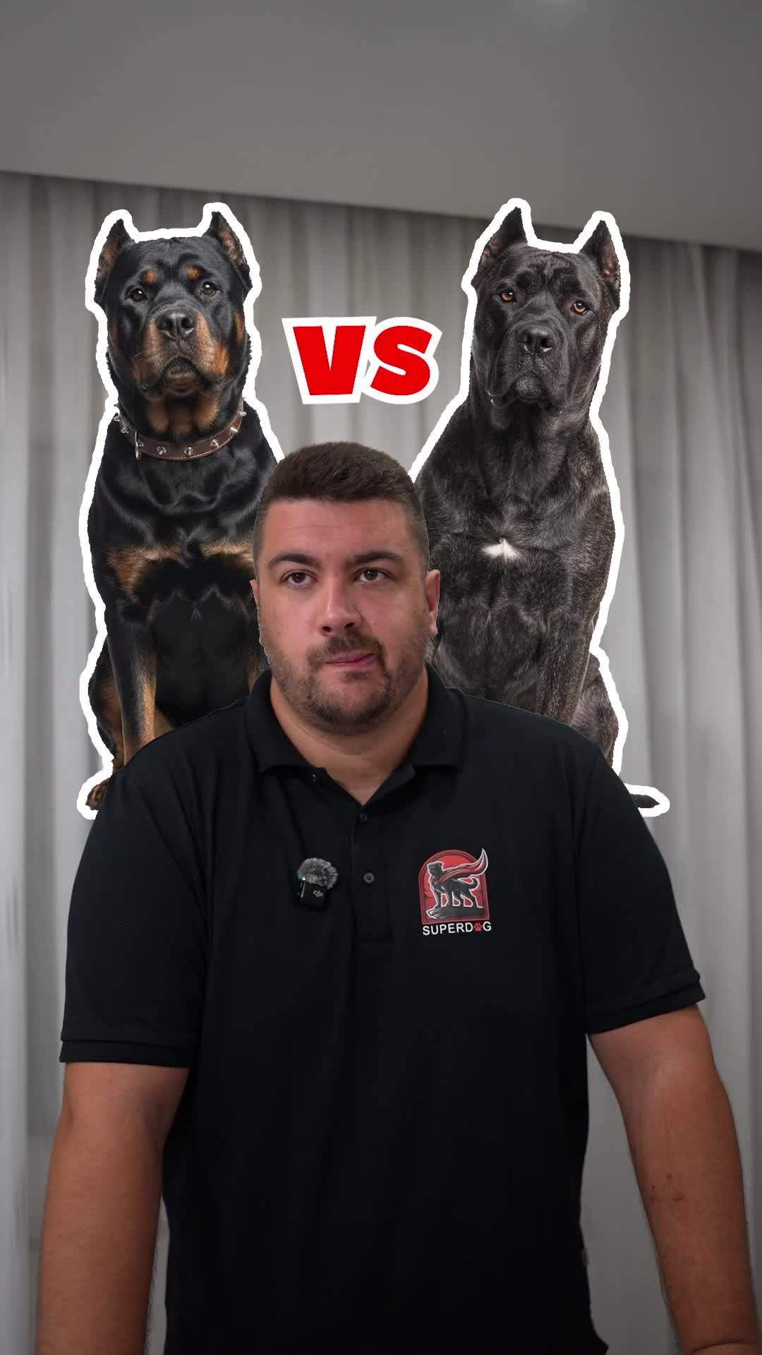 @superdog.akademija