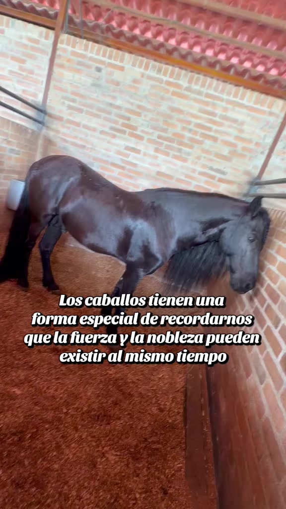 @Cuadra Casa Grande