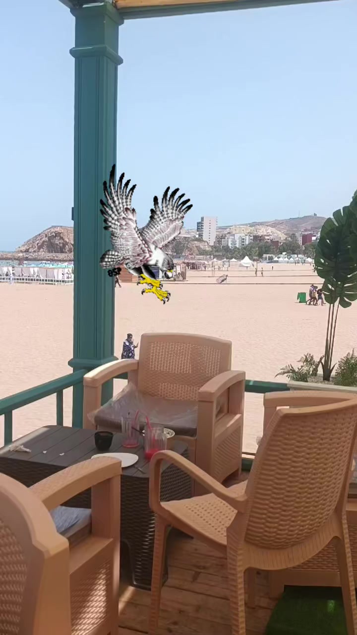 @🦅 صقر 🦅