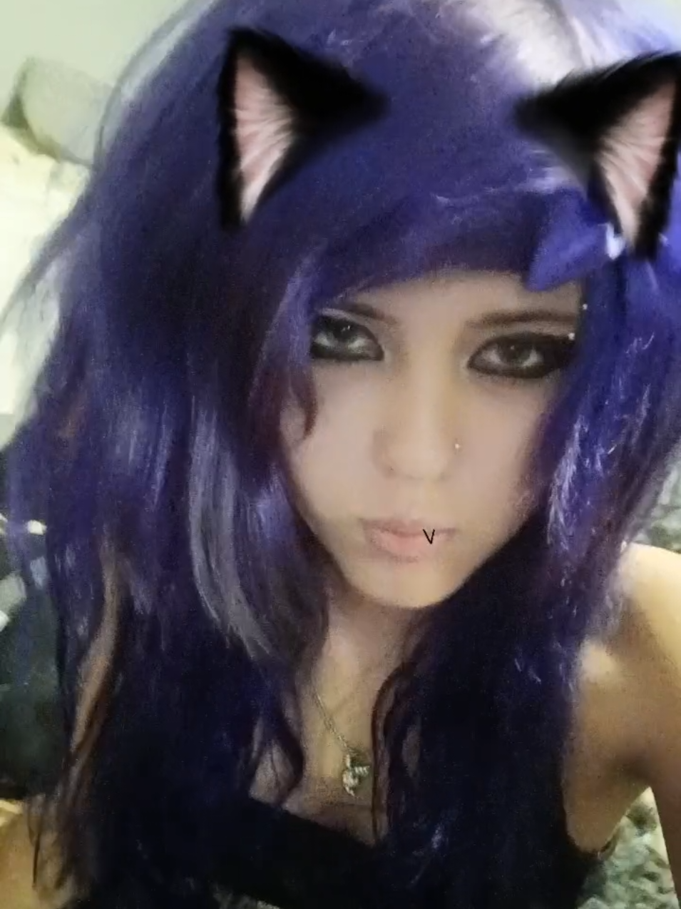 @💜𝕷𝖎𝖛𝖘 𝕽𝖆𝖈𝖈𝖔𝖔𝖓𝖘🦝