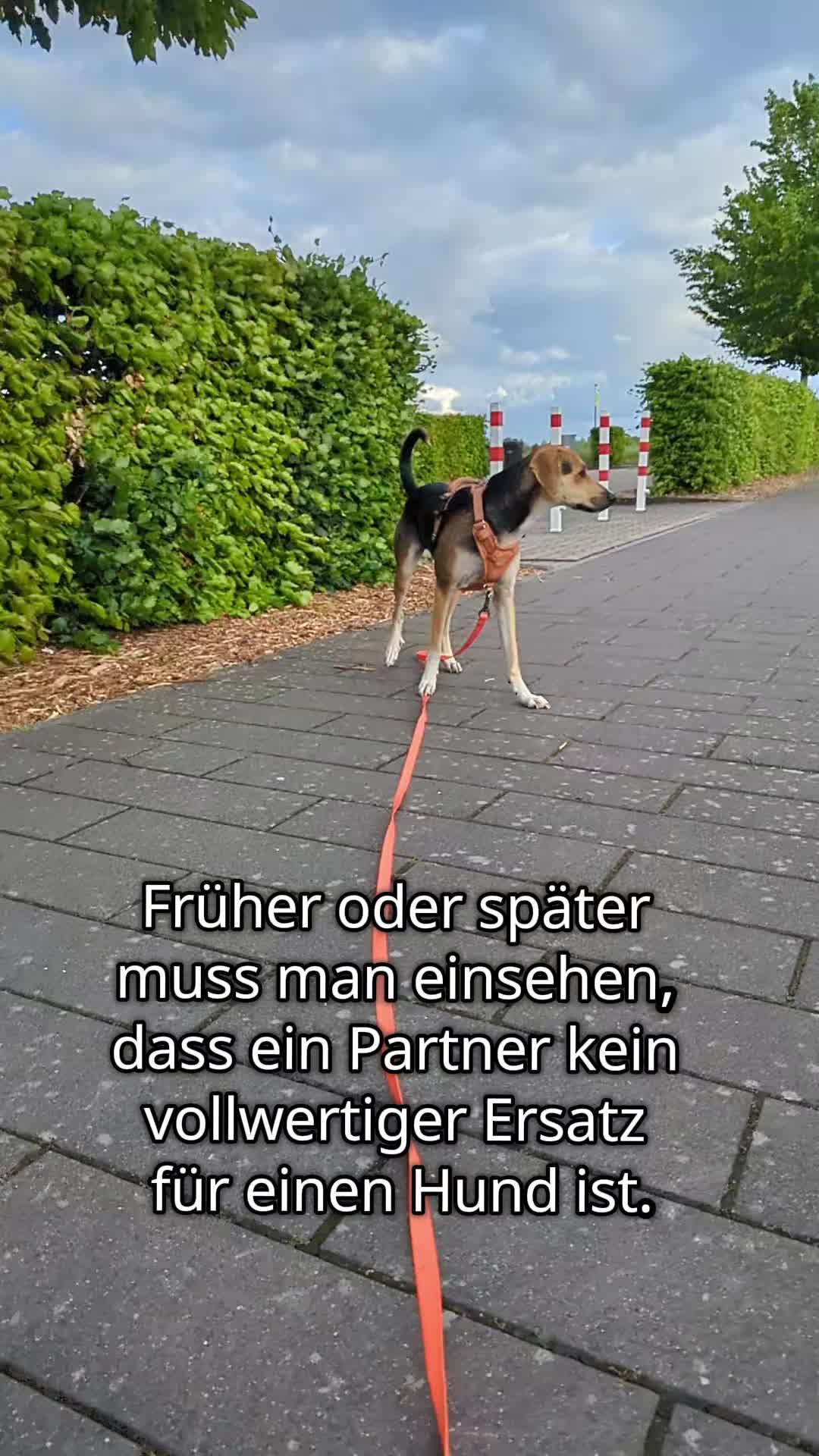 @ꪑⅈꪶꪖ ꪑꪮꪀᥴꫝꫝⅈᥴꫝⅈ