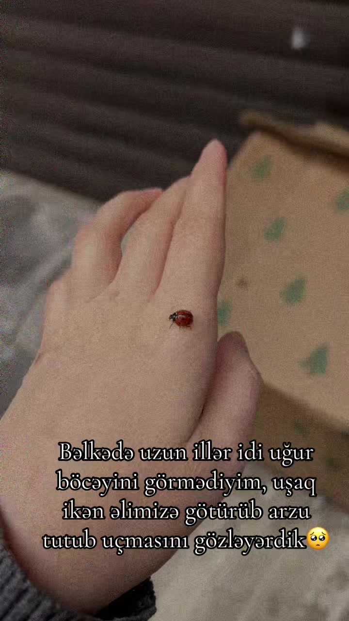 @Tağızadə🦋