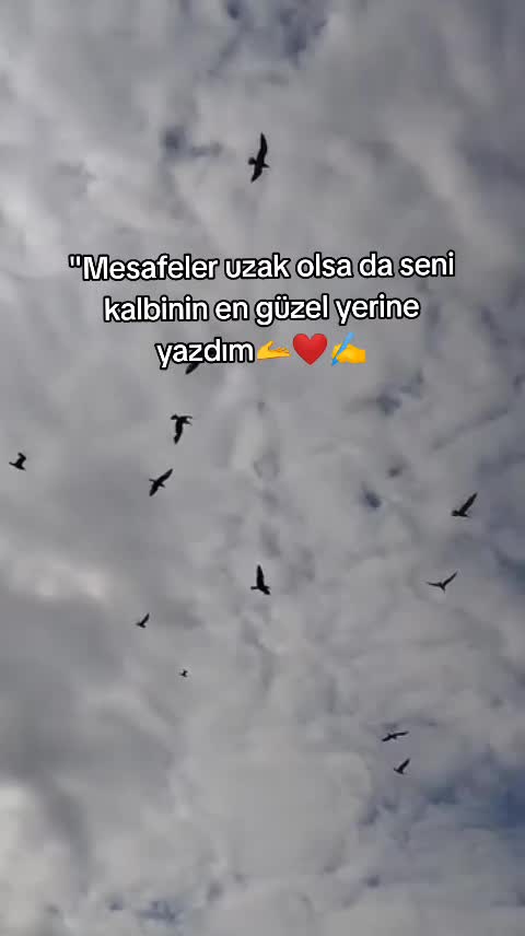 @🔏ŞİİRLERİN KRALİÇESİ🔏