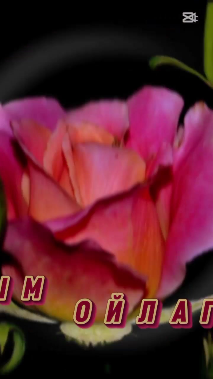 @☾༄☽𝑨i𝒂 jan☾༄☽
