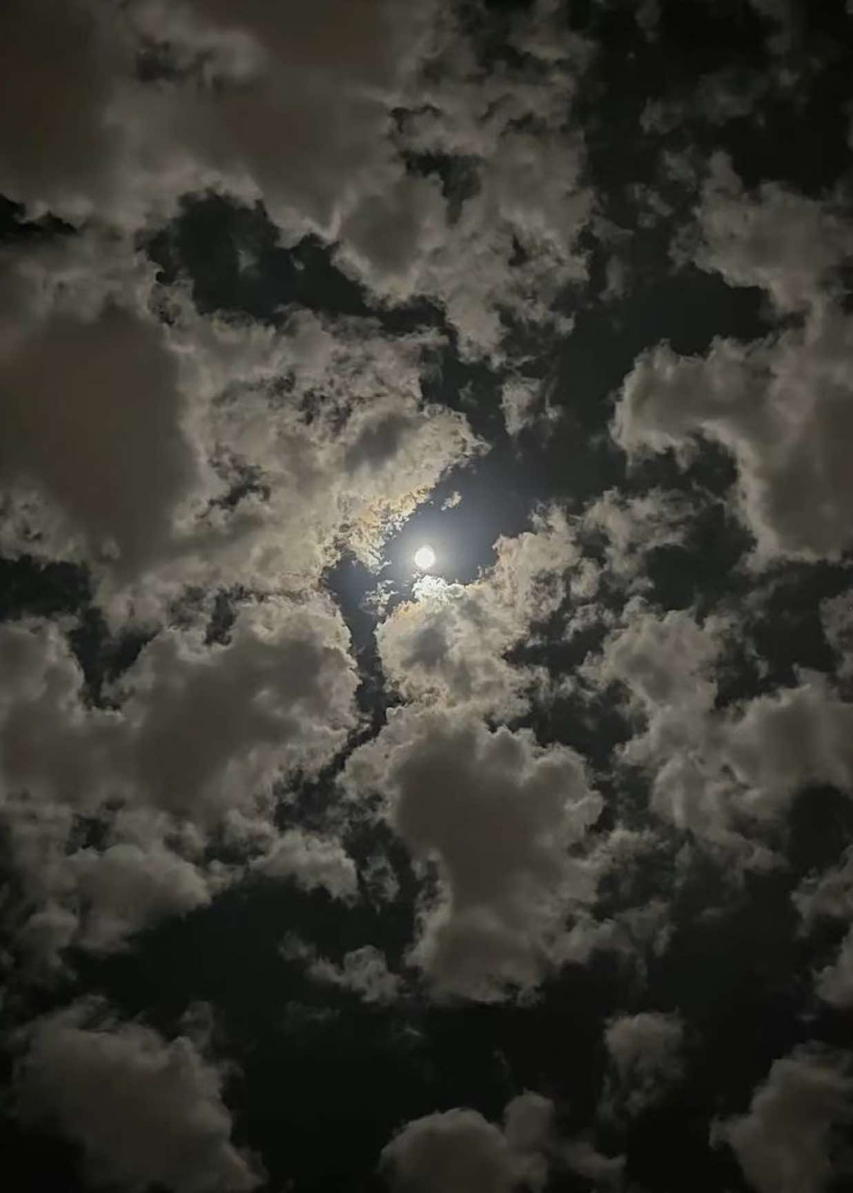 @هـدوء.