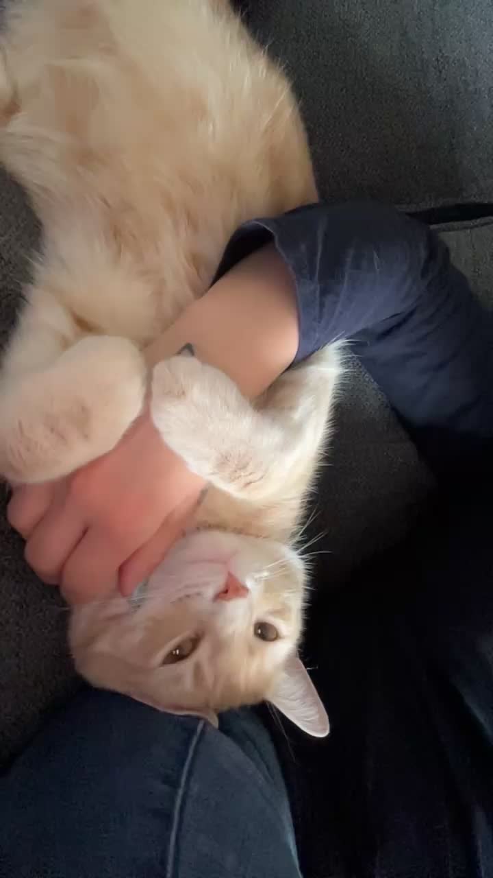 @Gypsy_pickles&leo
