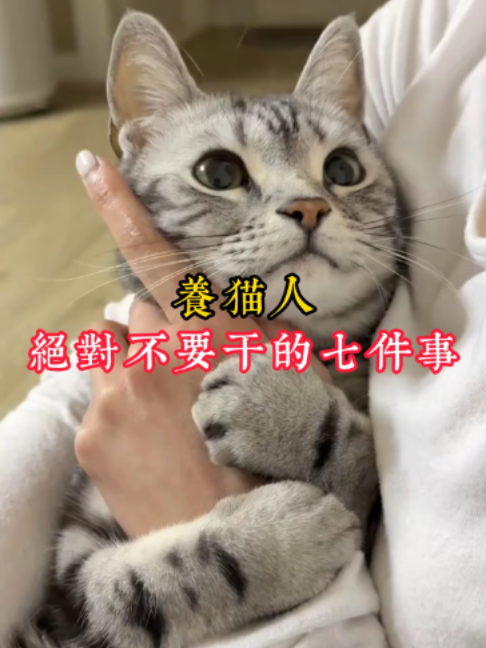 @catology