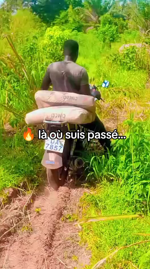 @RB-LE-Predateur