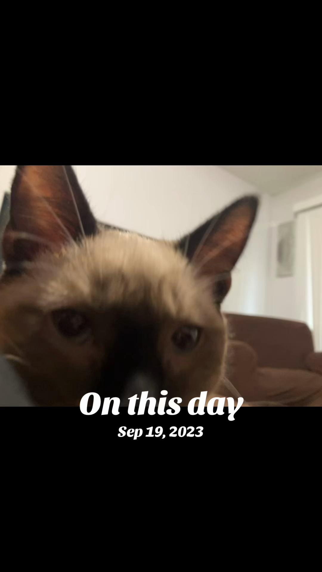 @𝗡𝗮𝘁𝗵𝗮𝗻🎶