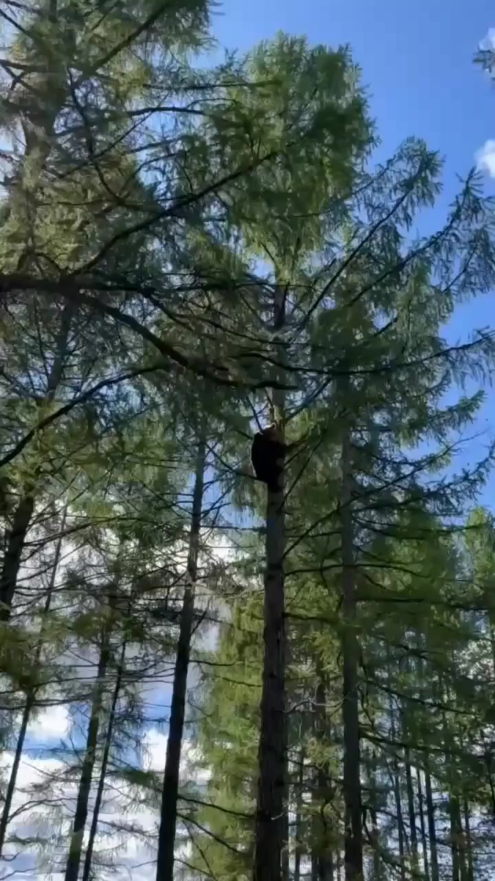@Ольга03rus