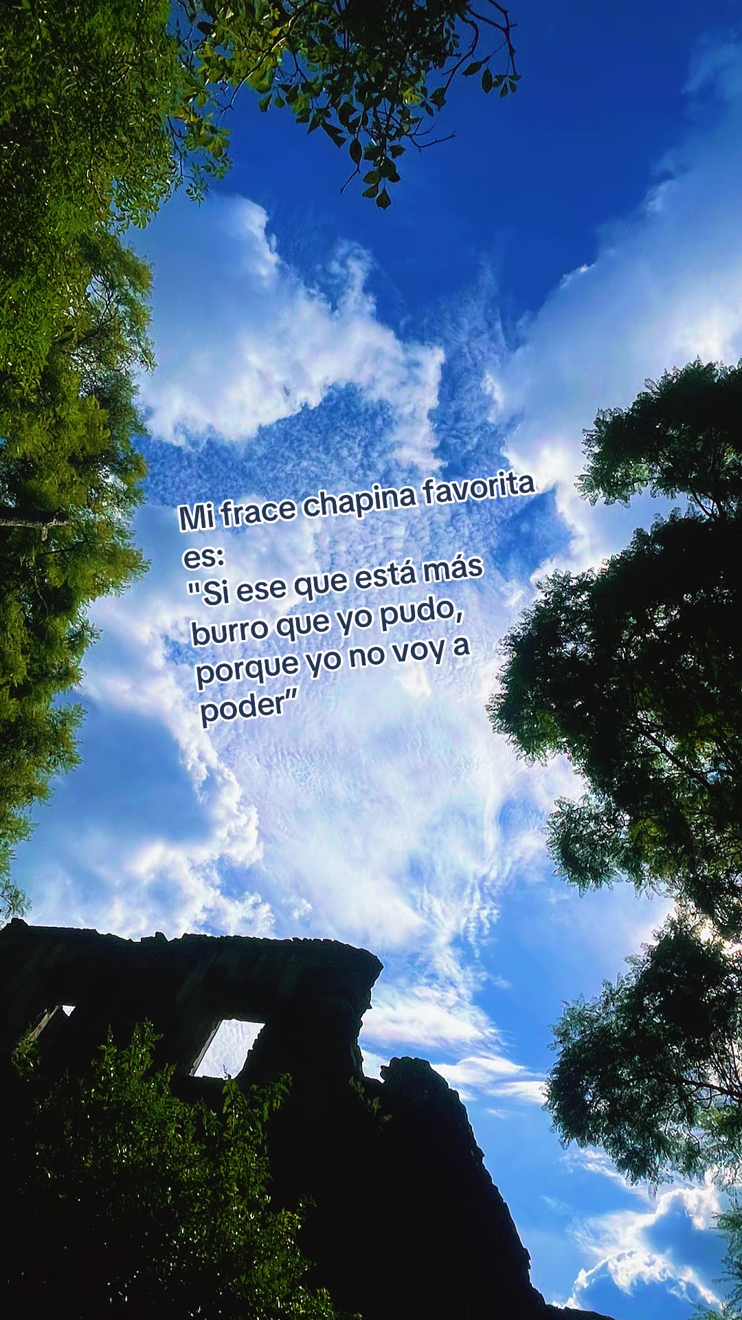 @Fernanda ✨️