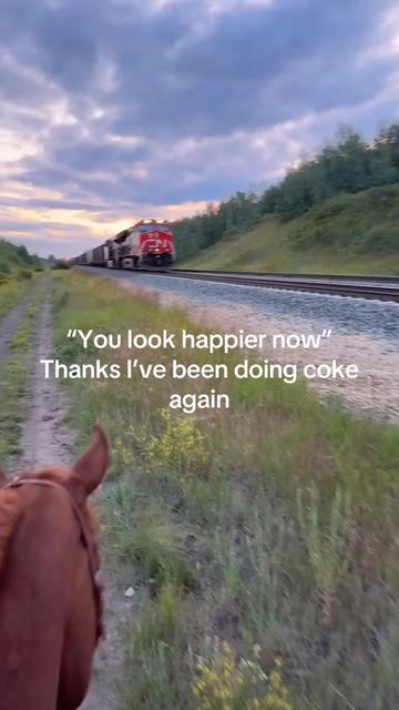 @NotSoCleanCummins