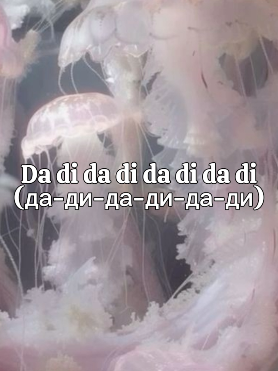 @офисный стиляга⇐ᵃⁿᵈₒₙₑ
