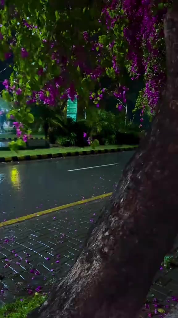 @واثقه بالله