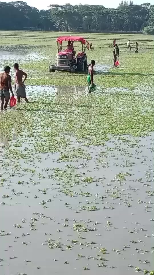 @md mainuddin11