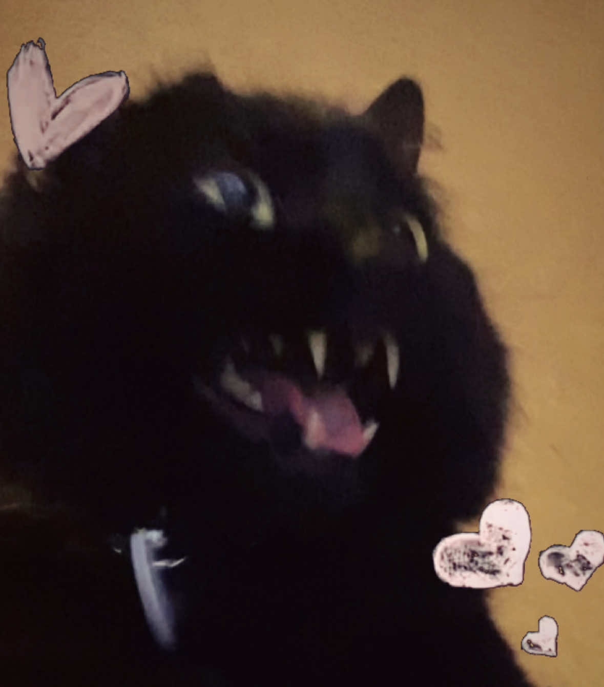 @<3